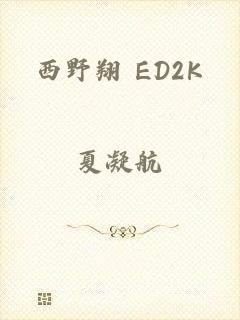 西野翔 ED2K